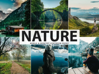 Nature Photography Lightroom Free Preset