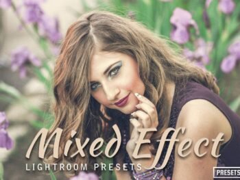 Affordable Lightroom Presets