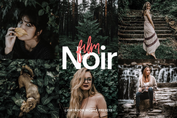 Noir and Blanc Free Lightroom Presets