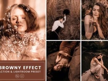 Browny free presets