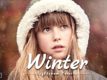 Winter free presets