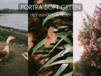 Ultra soft lightroom free presets