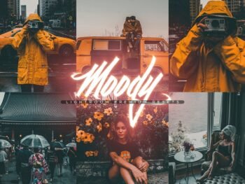 Moody Quality Free Lightroom Mobile and Photoshop Presets