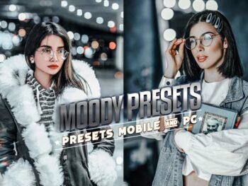 Moody Free Lightroom Mobile and Photoshop Presets