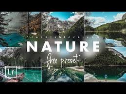 Natural free presets