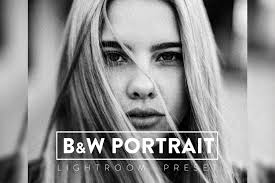 Lightroom black & white free Presets USA Unique