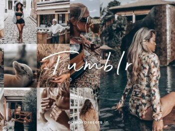 Tumblr Free Lightroom Presets