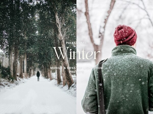 Premium Winter Lightroom Presets Online USA