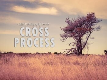 Cross processing free presets