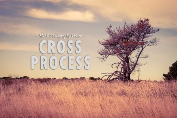 Cross processing free presets