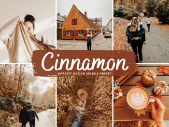 Cinammon Free Lightroom Presets