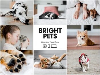 Bright Pet free presets