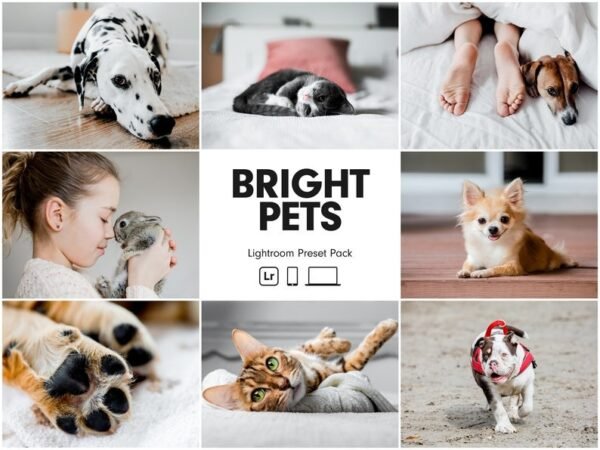 Bright Pet free presets