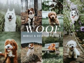 Paw-sitively Perfect free Pet Presets