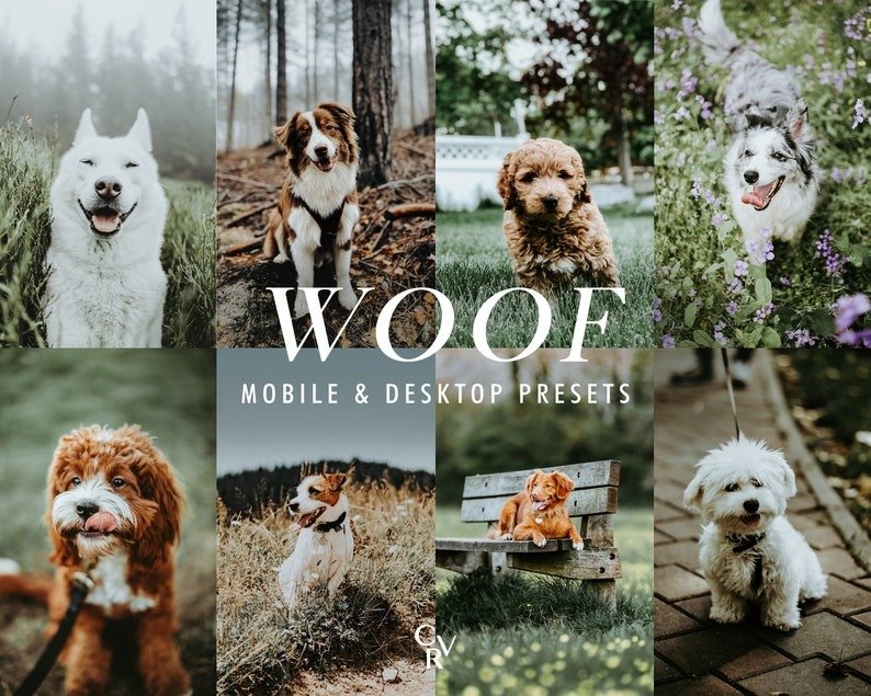 Paw-sitively Perfect free Pet Presets