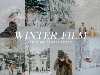 Intage Winter free Presets