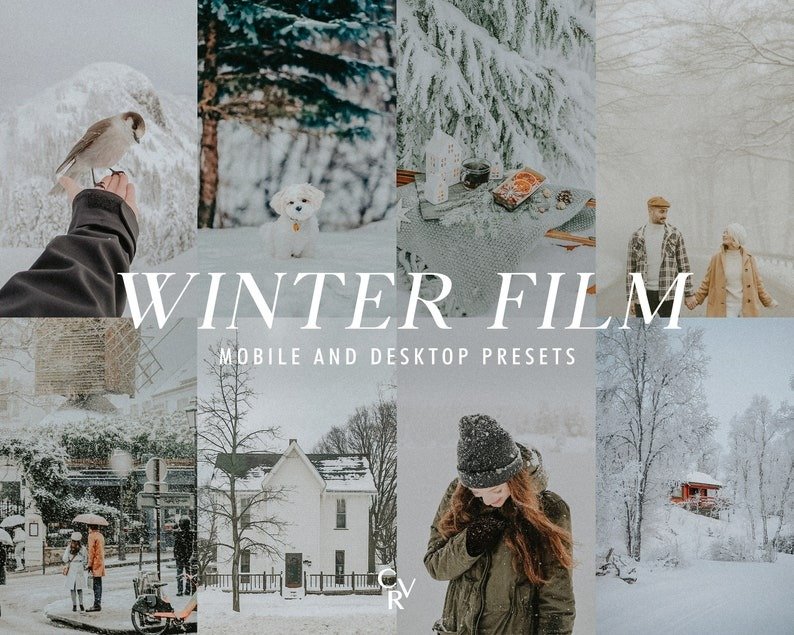 Intage Winter free Presets