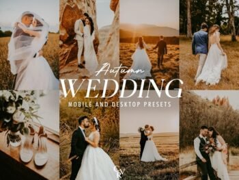 Autumn Wedding free presets