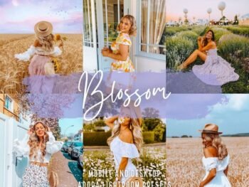 Blossom free presets