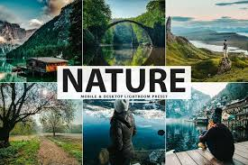 Nature Lightroom Free Preset