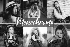 Mono chrome lightroom free preset