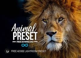 Animal free presets