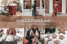 Gingerbread Free Lightroom Presets