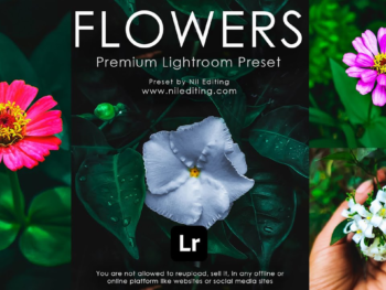 Best Mix Lightroom Free Preset Lightroom Presets Online USA