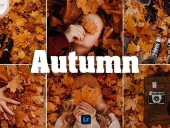 Autumn Effects Free Mobile and Photoshop Presets