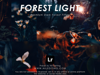 Lights free presets