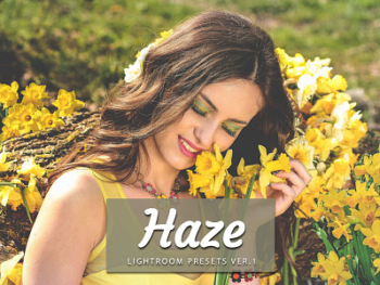 Haze lightroom free presets