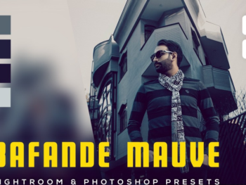 Bafande Mauve Lightroom free presets