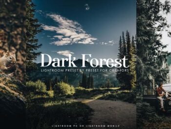Jungle lightroom free presets