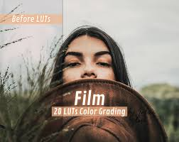 Noir LUTs: Best free LUTs for UK Outdoor Adventure