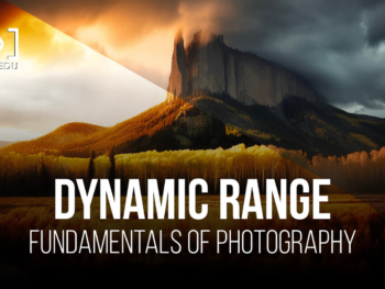 Basic-Dynamic Range free Presets – Capture Every Detail in Pet Photography