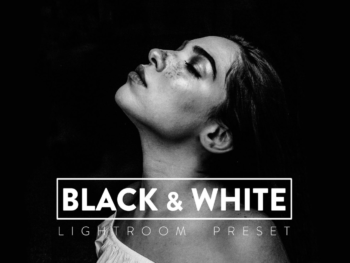 100 black and white free presets