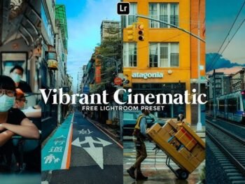 Vibrant lightroom free presets