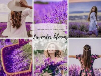 HDR Violet Lightroom Preset