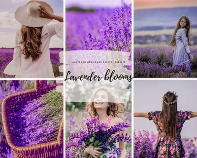 HDR Violet Lightroom Preset