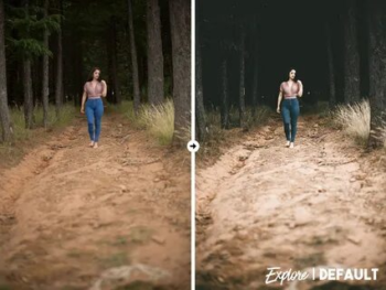 Forest VSCO-Like Lightroom free Preset