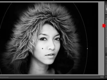 Free matte effect lightroom presets