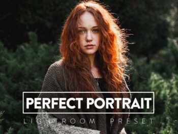 Perfect Portrait Lightroom Presets