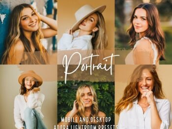 Potrait free presets