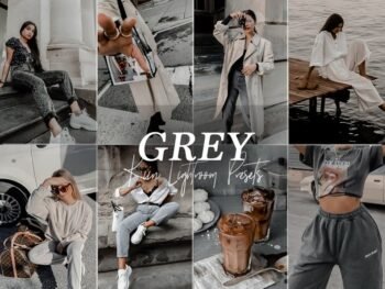 Gray Lightroom Presets