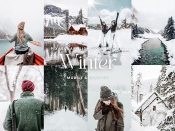 Winter Photography Free Loghtroom Presets