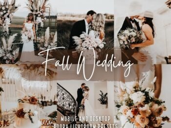 Fall Wedding free presets