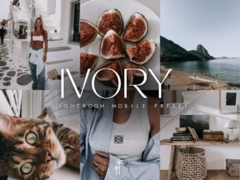 Ivory free presets