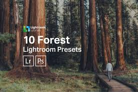 90 lightroom free presets