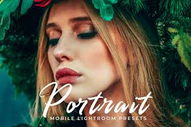 Pro Portrait Free Lightroom Presets