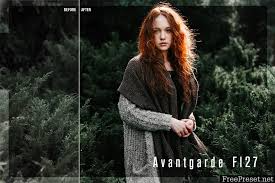 Avantgarde Lightroom Free Presets